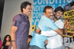 Pilla Zamindar Movie Audio Launch - 31 of 66