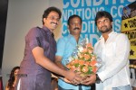 Pilla Zamindar Movie Audio Launch - 48 of 66