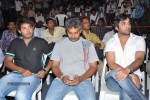 Pilla Zamindar Movie Audio Launch - 49 of 66