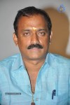 Pilla Zamindar Movie Audio Launch - 57 of 66