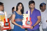 Pilla Zamindar Movie Success Meet - 7 of 115