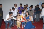 Pilla Zamindar Movie Success Meet - 12 of 115