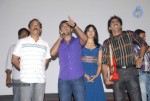 Pilla Zamindar Movie Success Meet - 13 of 115