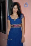 Pilla Zamindar Movie Success Meet - 14 of 115