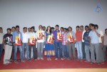 Pilla Zamindar Movie Success Meet - 20 of 115