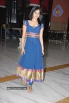 Pilla Zamindar Movie Success Meet - 46 of 115