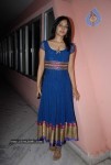 Pilla Zamindar Movie Success Meet - 48 of 115
