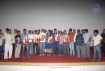 Pilla Zamindar Movie Success Meet - 88 of 115