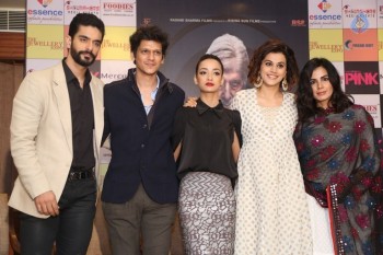 Pink Film Press Meet Photos - 6 of 50