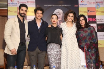 Pink Film Press Meet Photos - 17 of 50