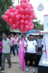 Pink Ribbon Walk 2010  - 52 of 229
