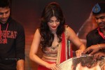 Pooja Movie Audio Launch 03 - 201 of 241