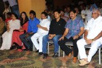 Poola Rangadu Movie Audio Launch  - 106 of 114