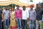 Poola Rangadu Movie Opening - 44 of 66