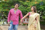 Poola Rangadu Movie Opening - 62 of 66