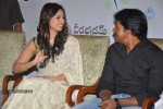 Poola Rangadu Movie Success Meet - 105 of 93