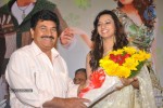 Poola Rangadu Movie Success Meet - 55 of 93