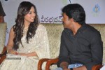 Poola Rangadu Movie Success Meet - 63 of 93