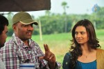 Poola Rangadu Movie Working Stills - 48 of 104