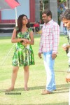 Poola Rangadu Movie Working Stills - 1 of 129