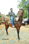 Poola Rangadu Movie Working Stills - 27 of 129