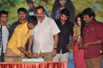 Pora Pove Audio Launch 02 - 35 of 81