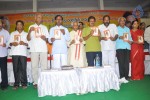 Poru Telangana Movie Audio Launch - 22 of 52