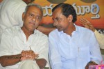Poru Telangana Movie Audio Launch - 42 of 52