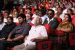 Prabhanjanam Audio Launch 01 - 3 of 147