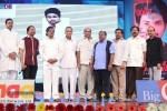 Prabhanjanam Audio Launch 01 - 132 of 147