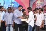 Prema Geema Jantha Nai Audio Launch 03 - 29 of 124