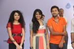 Prema Geema Jantha Nai Success Meet - 45 of 94