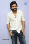 Prema Geema Jantha Nai Success Meet - 49 of 94