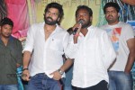 Prema Geema Jantha Nai Success Meet - 74 of 94