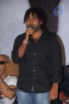 Prema Pilustondi Movie Platinum Disc Function - 35 of 32