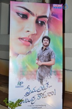 Premante Suluvu Kadura Audio Launch - 33 of 55
