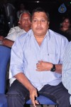 Preminchali Movie Audio Launch 01 - 223 of 223