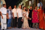 Prithviraj Wedding Reception Photos - 9 of 94