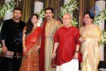 Prithviraj Wedding Reception Photos - 13 of 94