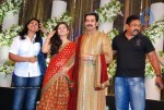 Prithviraj Wedding Reception Photos - 89 of 94