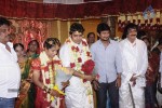 PRO Diamond Babu Son Wedding Reception - 29 of 126