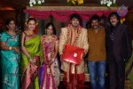 PRO Diamond Babu Son Wedding Reception - 44 of 126