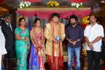 PRO Diamond Babu Son Wedding Reception - 101 of 126