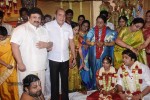 PRO Diamond Babu Son Wedding Reception - 124 of 126