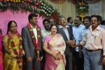 Producer Chinnappa Devar Grandson Reception Photos - 34 of 57