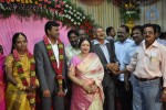 Producer Chinnappa Devar Grandson Reception Photos - 34 of 57