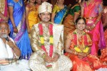 Producer Giri Daughter Wedding photos - 35 of 138