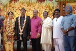 Producer P Kannappan Daughter Wedding Photos  - 2 of 34