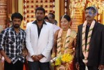 Producer P Kannappan Daughter Wedding Photos  - 10 of 34