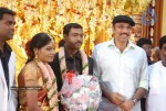 Producer P Kannappan Daughter Wedding Photos  - 17 of 34